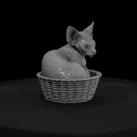 a-collection-of-housecats-sphynx-b06c75ad-meshref — thumbnail 2
