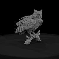ant-119-great-horned-owl-female — thumbnail 2