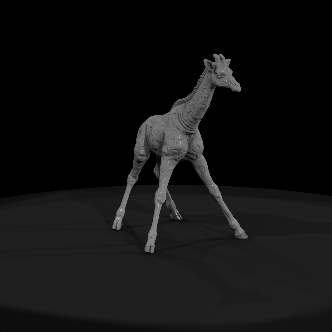 Young Giraffe