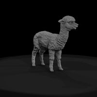ant-222-alpaca-adolescent — thumbnail 2