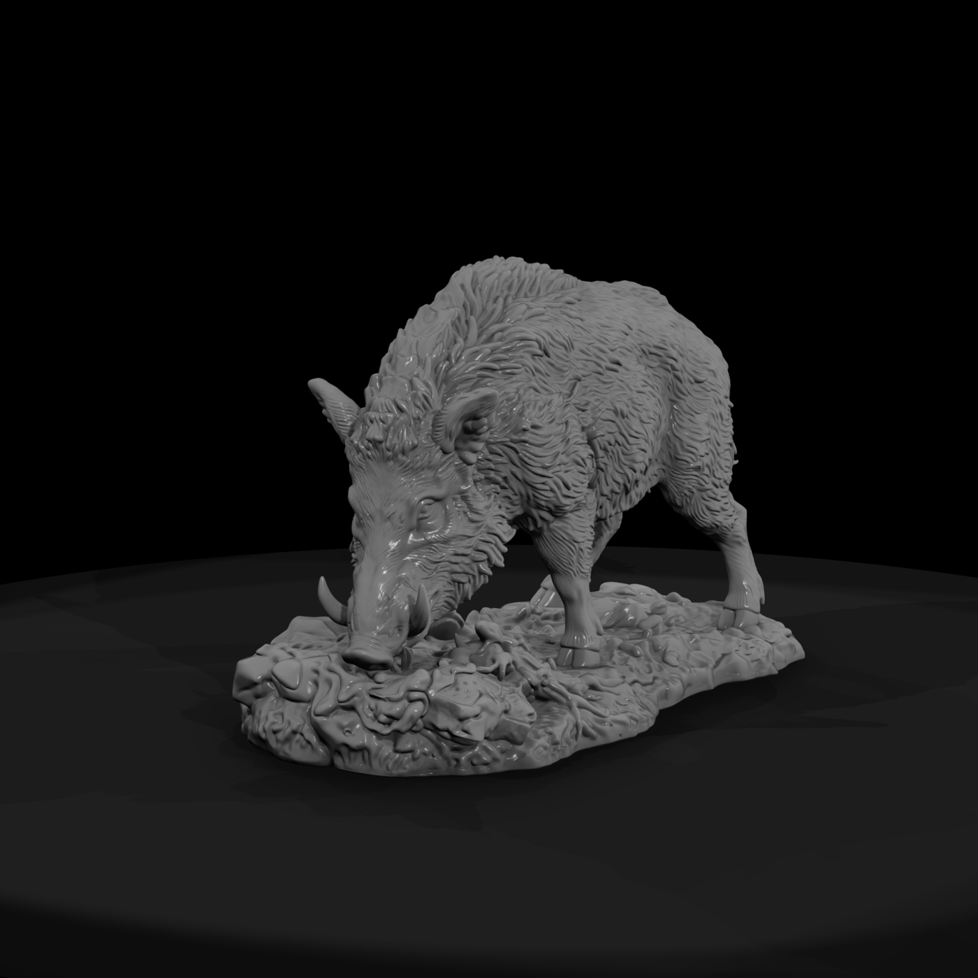 Ant 073 Wild Boar Male