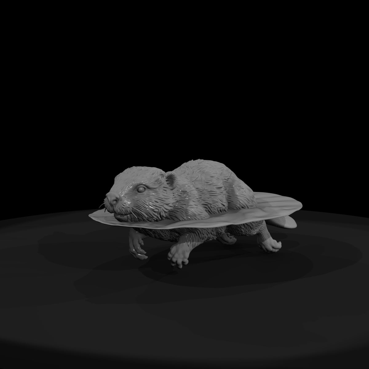 ant-189-beaver-adolescent