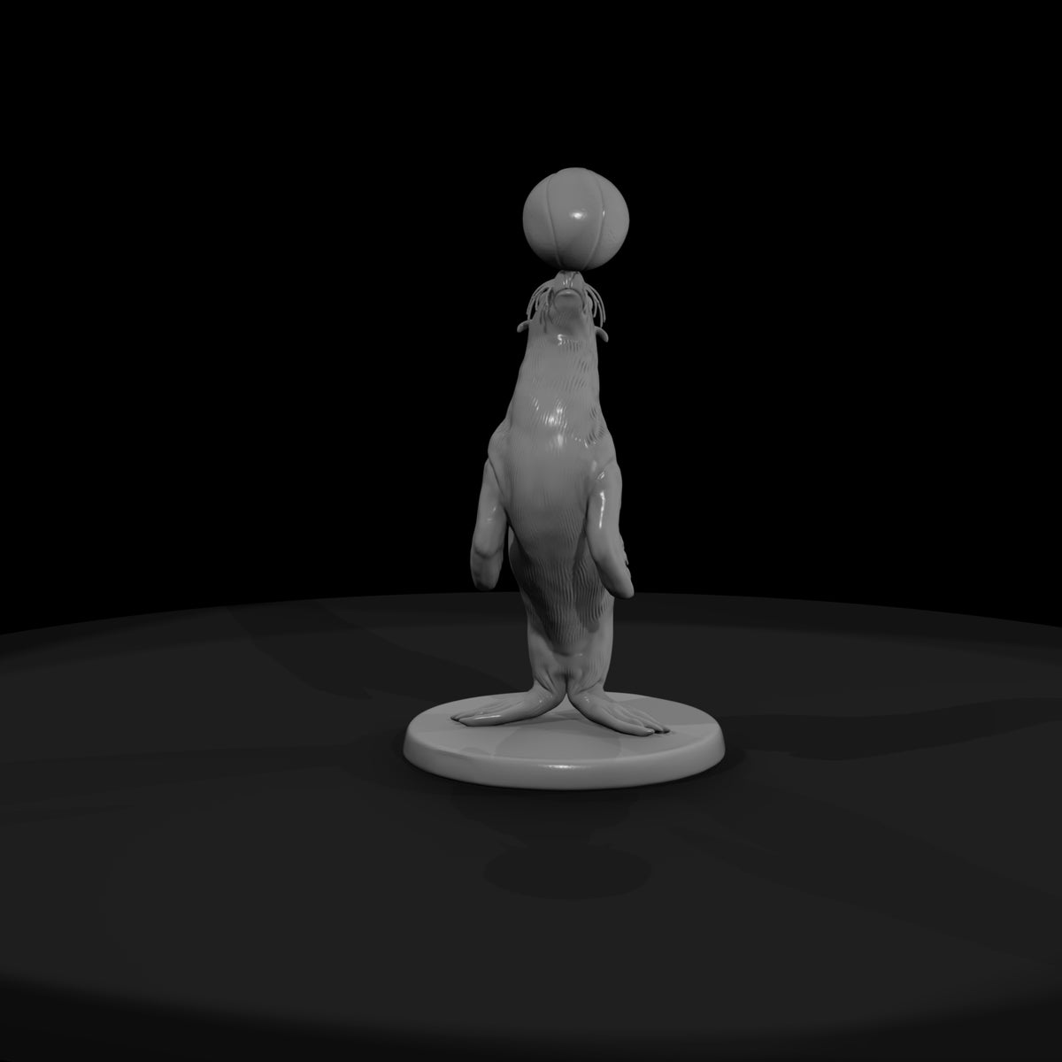 cir-119-animal-balancing-seal
