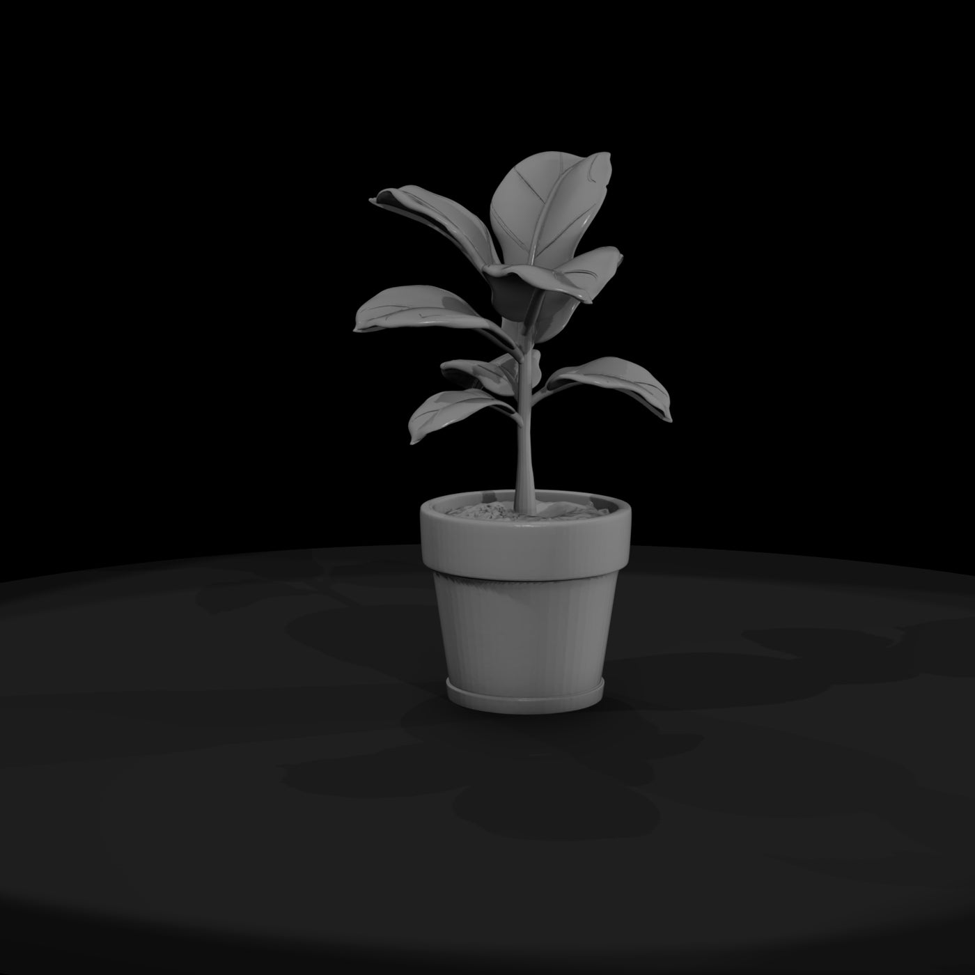 stylized-monochrome-potted-fiddle-leaf-fig-socjkaw