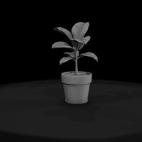 stylized-monochrome-potted-fiddle-leaf-fig-socjkaw — thumbnail 2
