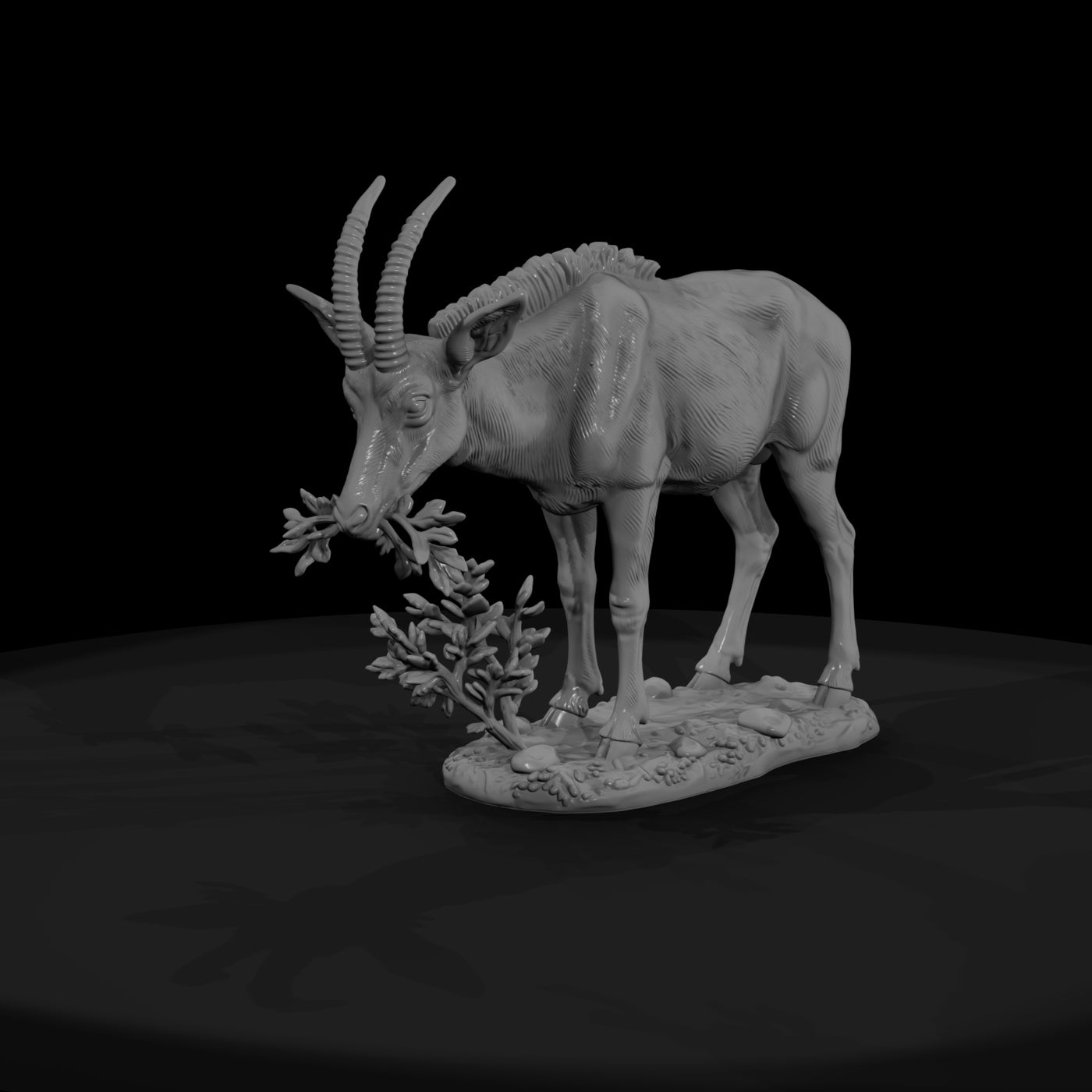 ant-233-sable-antelope-female