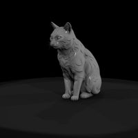 stylized_sitting_domestic_cat_3d_model_kmbalvw9 — thumbnail 2
