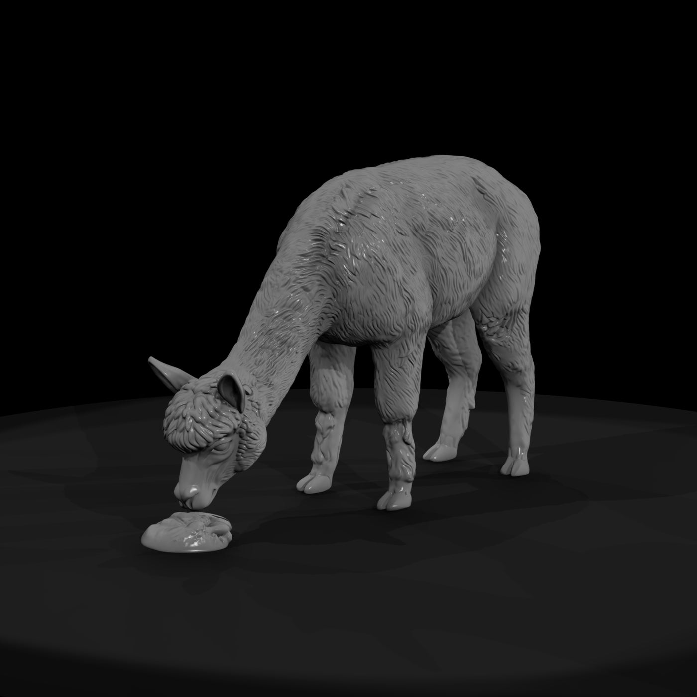 ant-221-alpaca-female