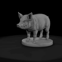 anim-19-pig-5f9cbb — thumbnail 2