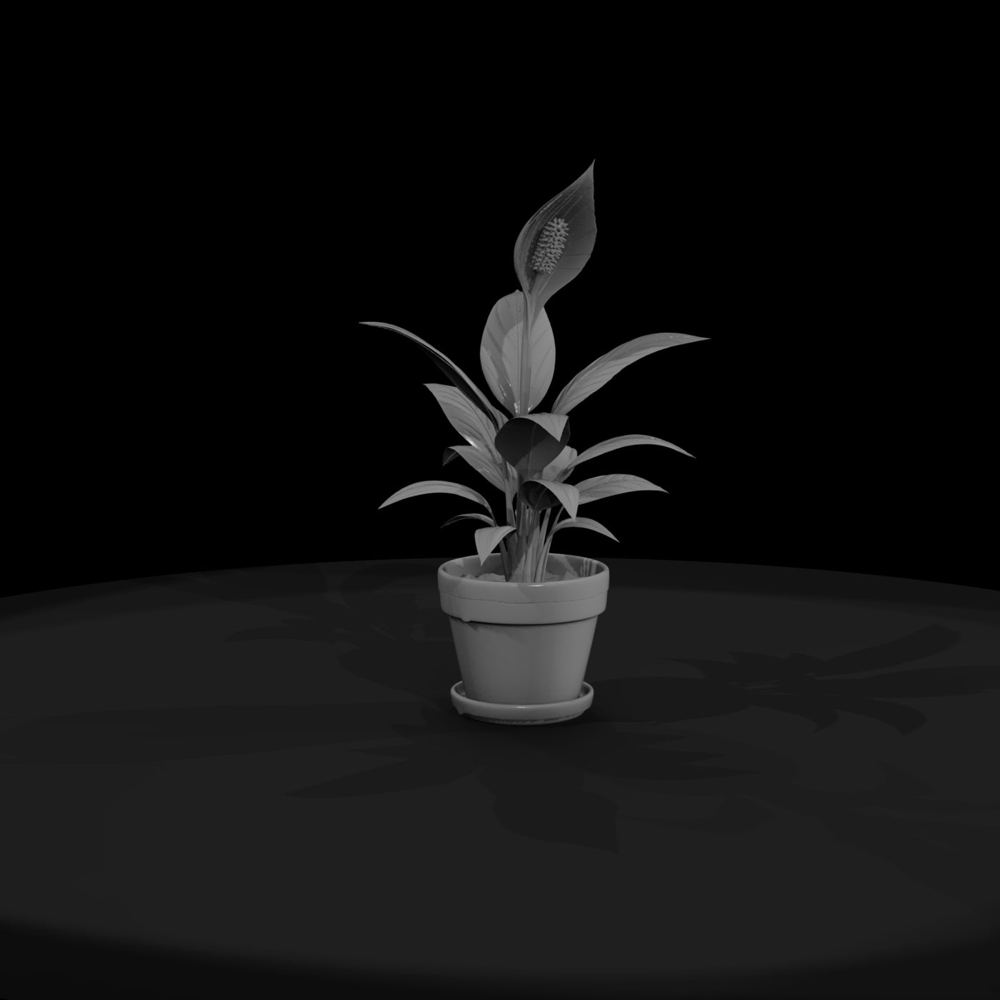 stylized-peace-lily-potted-plant-3d-printable-miniature-749768