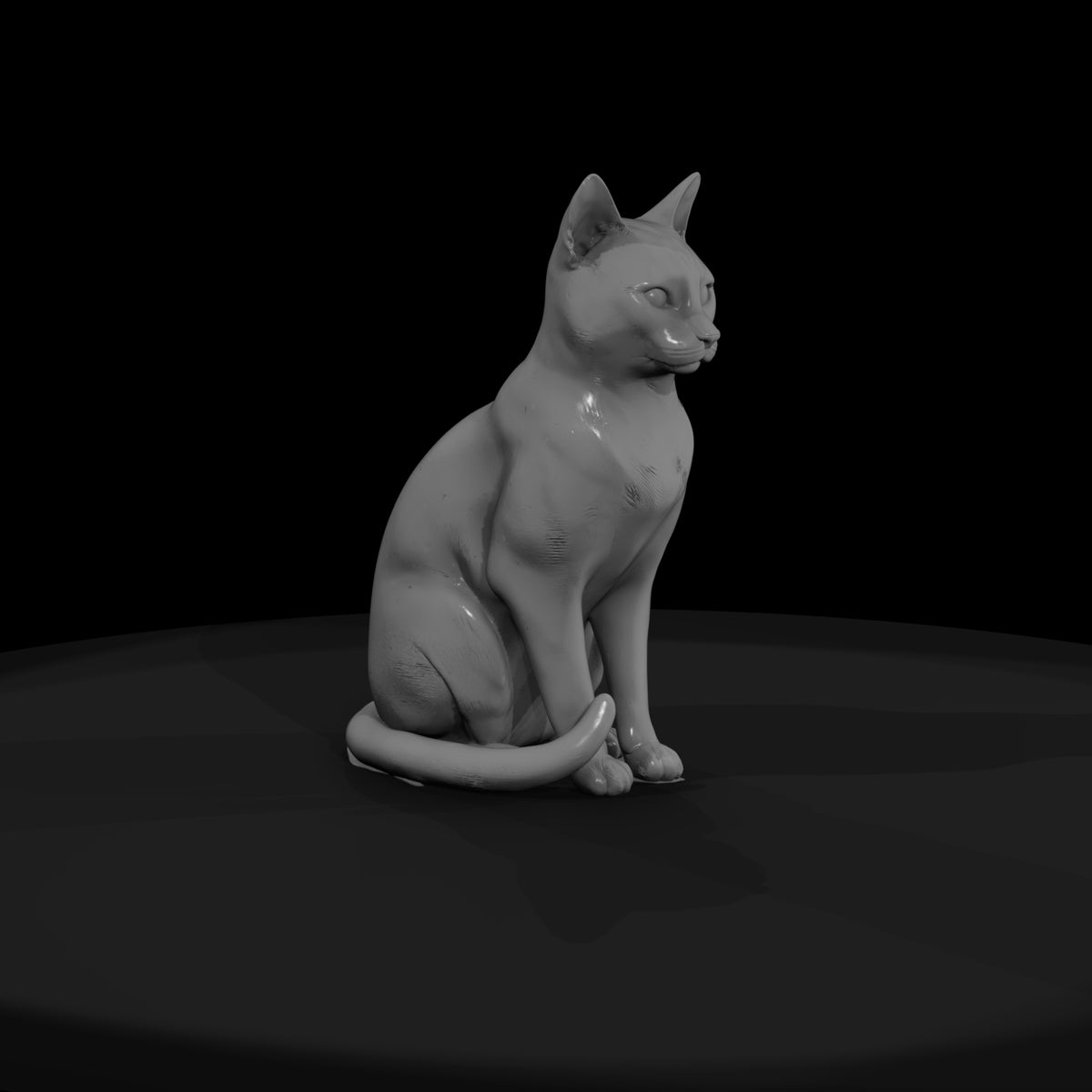 a-collection-of-housecats-snowshoe-bc6d2bb2-meshre