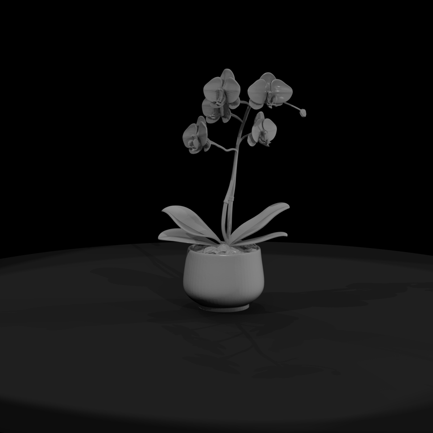 Stylized Monochrome Potted Orchid 3D Model Xfzrzzj