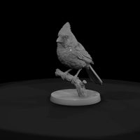 ant-104-northern-cardinal-female — thumbnail 2