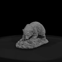 ww-0326-animal-badger — thumbnail 2