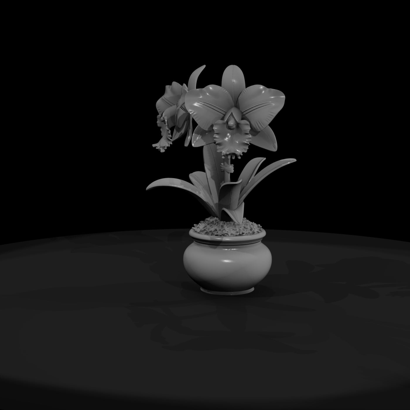 stylized-potted-cattleya-orchid-3d-model-si5zgg4s