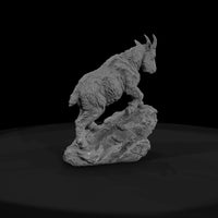 ant-060-mountain-goat-adolescent — thumbnail 2