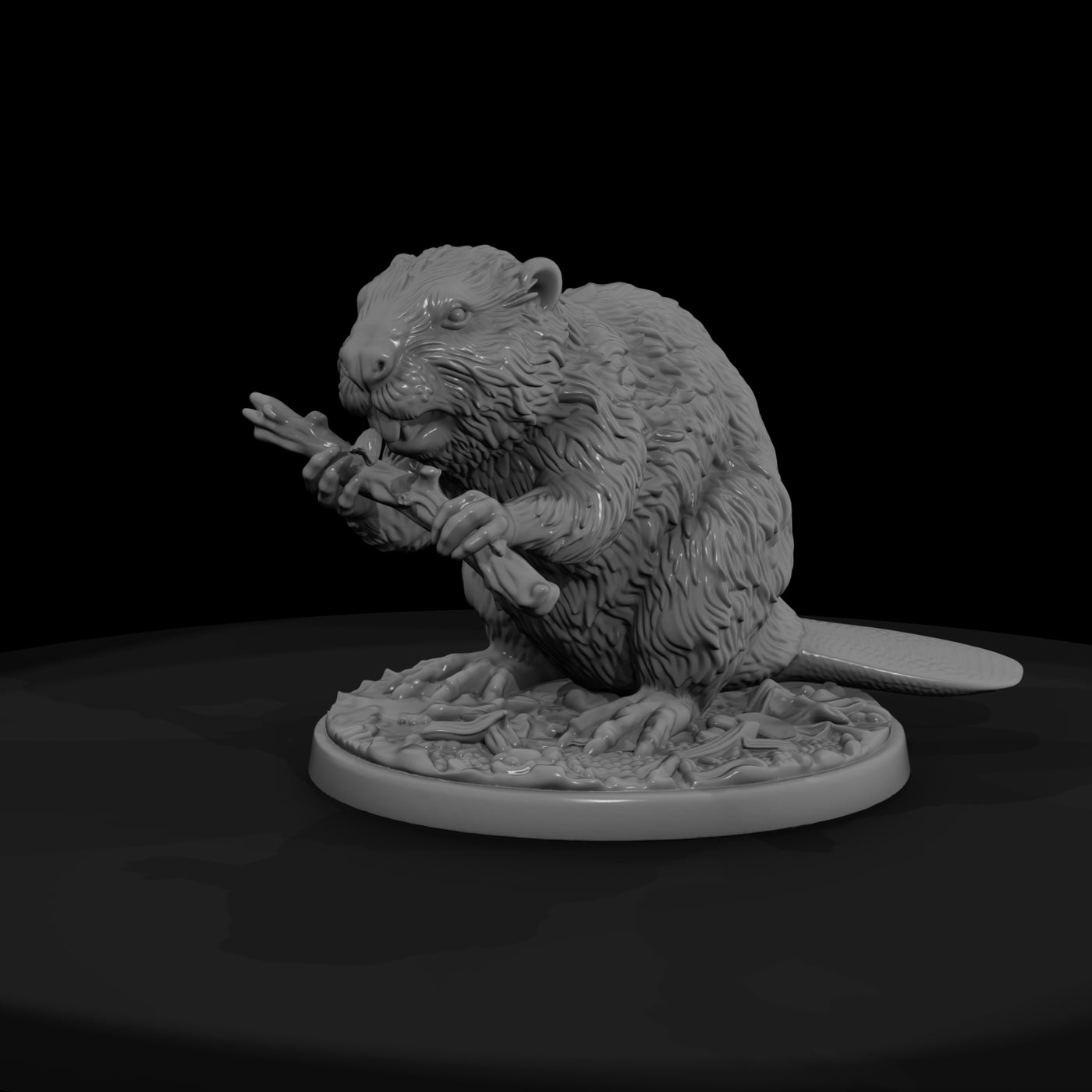 ant-187-beaver-male