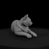 a_collection_of_housecats_polydactyl_21692ca8_meshref — thumbnail 2