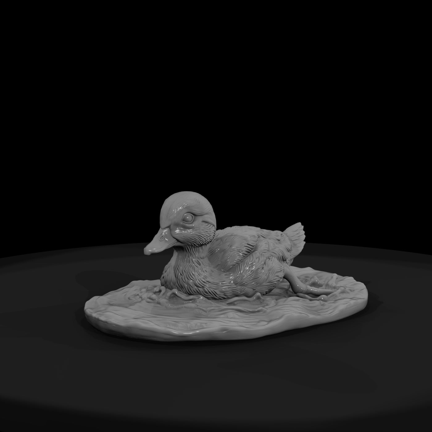 ant-096-mandarin-duck-adolescent