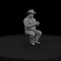 western-bar-curtis-hayes — thumbnail 4