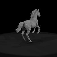 pinto-pony — thumbnail 4
