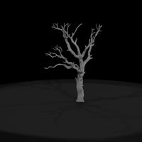 20260612-dead-bare-tree-field-edf7fcaef4 — thumbnail 2
