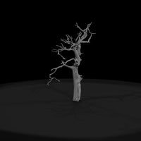 20260612-ancient-gnarled-dead-tree-d8d5631dc7 — thumbnail 3