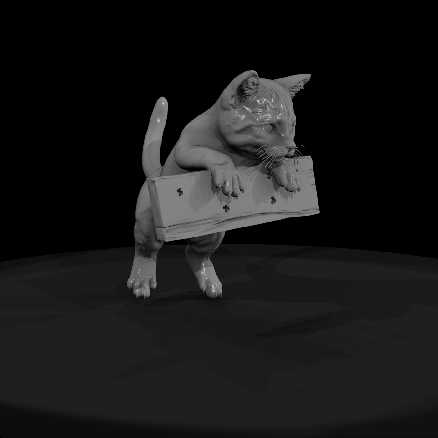 Polydactyl Housecat Set — Sitting & Reaching Poses