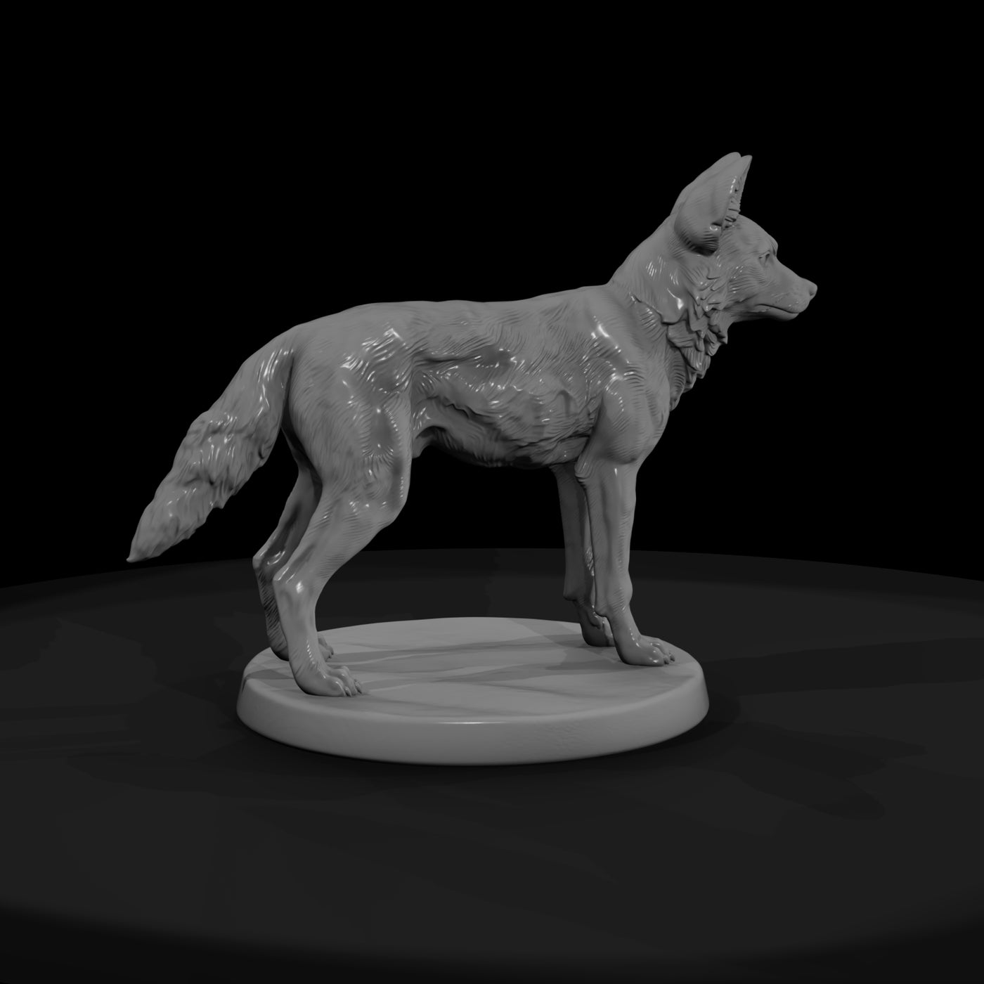 ant-166-african-wild-dog-male