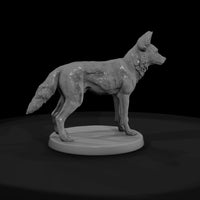 ant-166-african-wild-dog-male — thumbnail 2