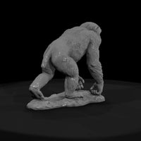 ant-193-chimpanzee-male — thumbnail 2
