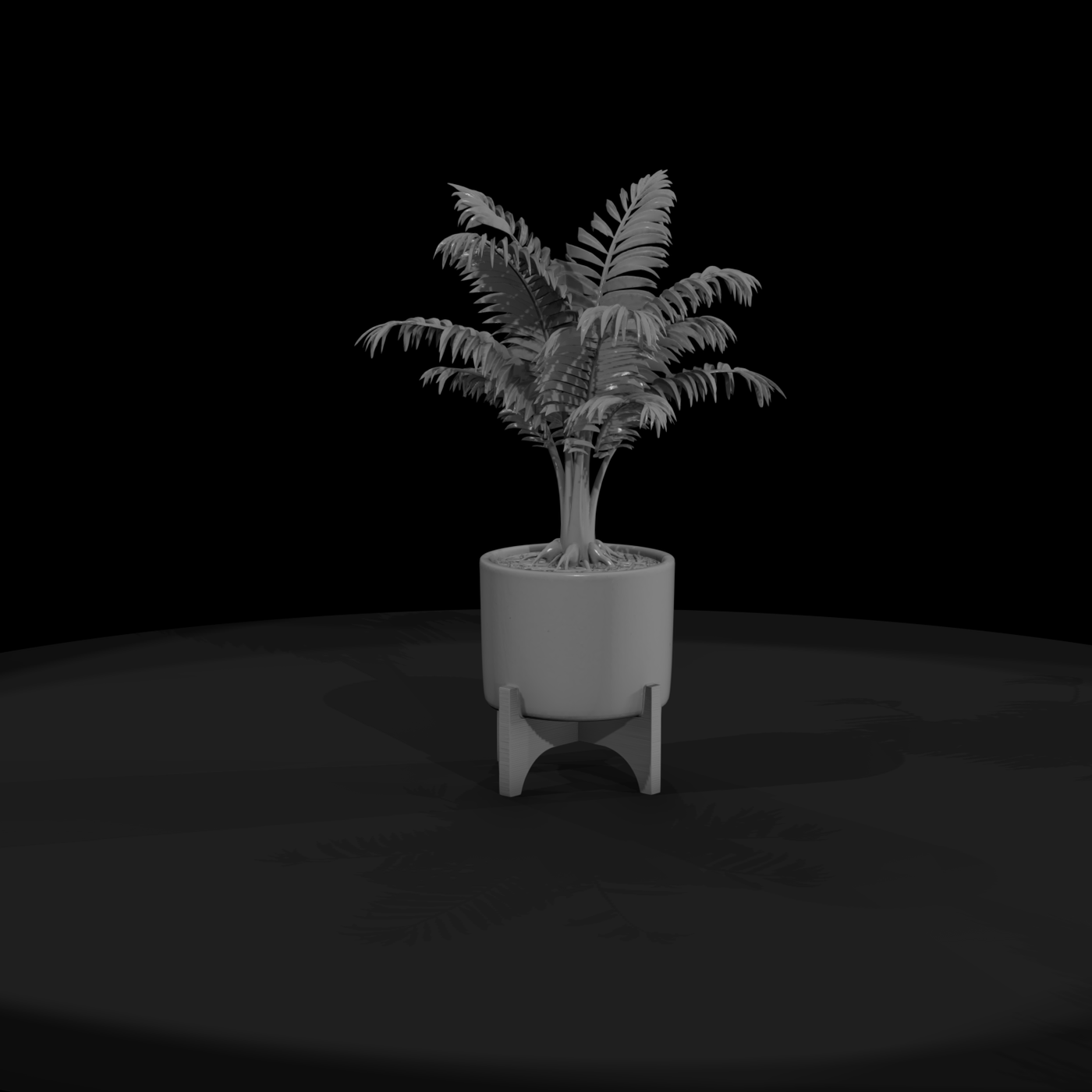 Stylized Minimalist Potted Palm 3D Model 2Bjzyfrf