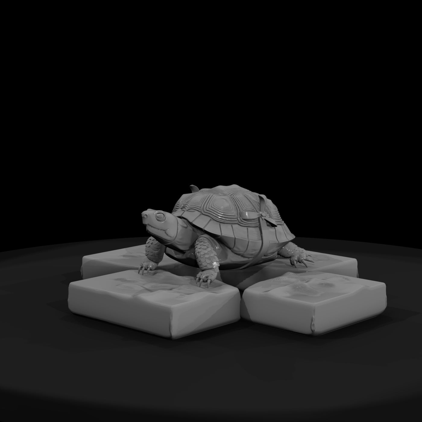 stylized-box-tortoise-3d-model-c5aktigk-67a07e