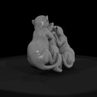 a-collection-of-housecats-tiny-d0ca561a-meshref — thumbnail 2