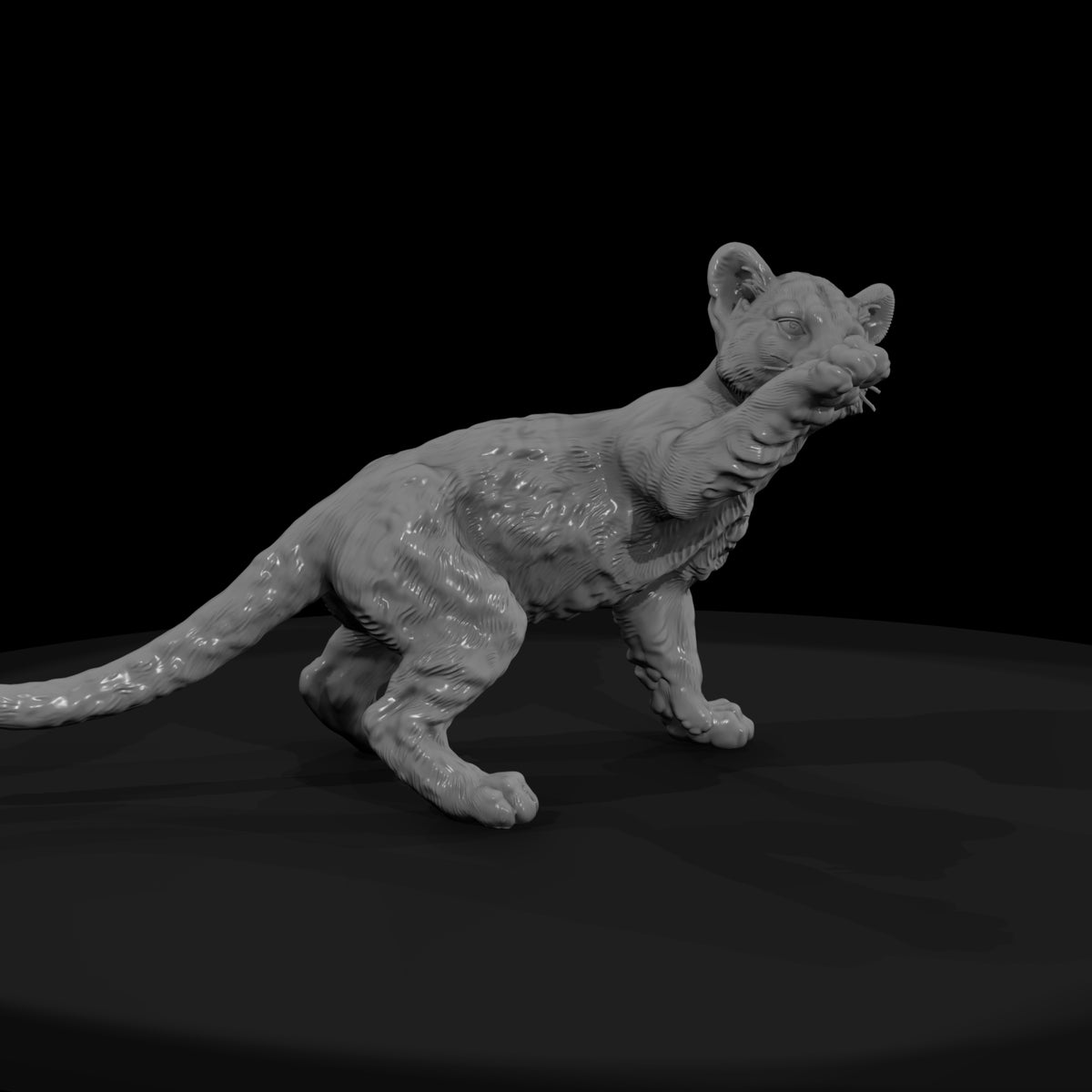 ant-147-cougar-adolescent