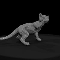 ant-147-cougar-adolescent — thumbnail 2