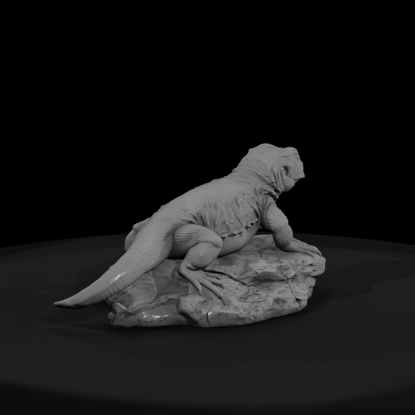ww-0337-animal-chuckwalla