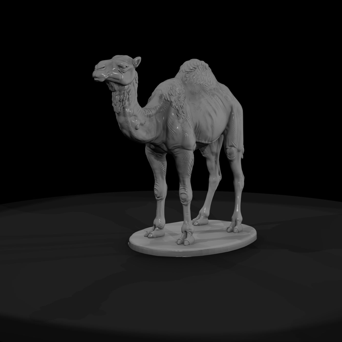 ant-214-dromedary-camel-male