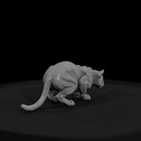 ant-146-cougar-female — thumbnail 2