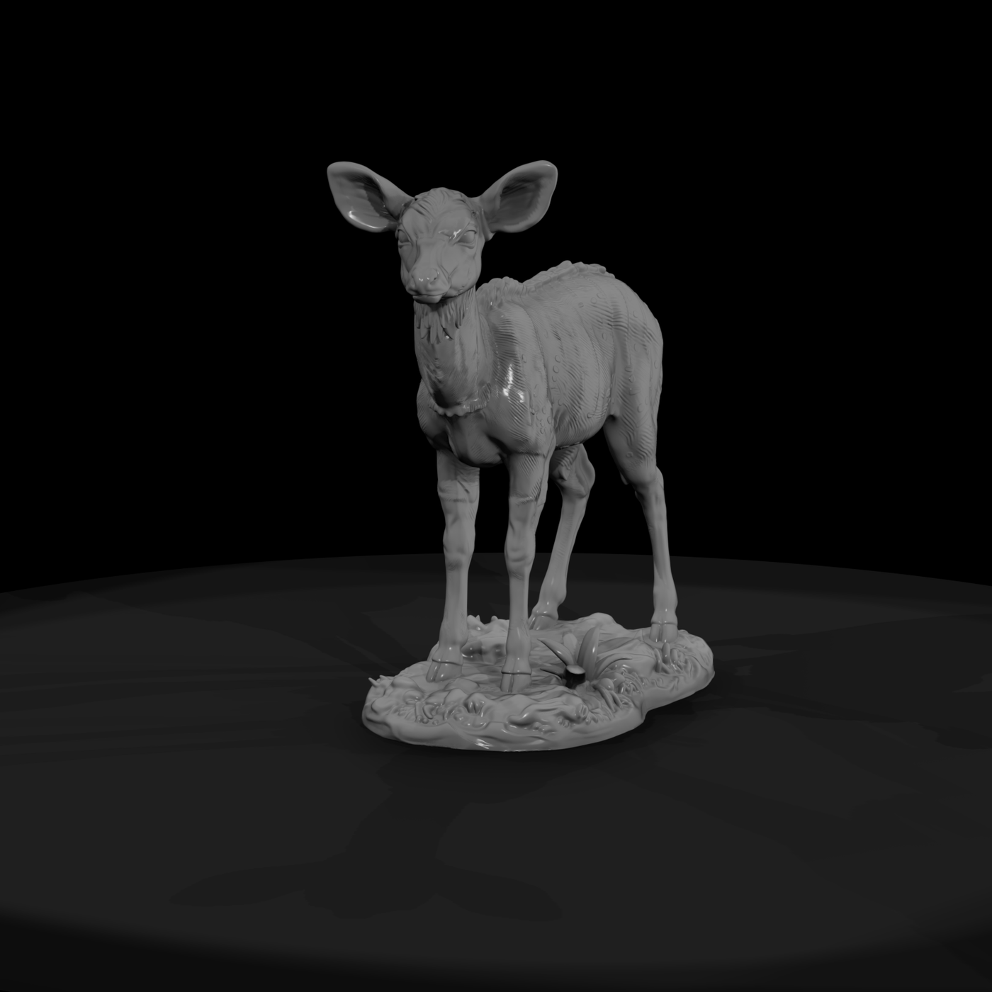 Young Nyala Antelope