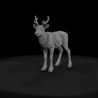 ant-063-caribou-adolescent — thumbnail 2