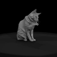 a-collection-of-housecats-grooming-bff3a161-meshre — thumbnail 2
