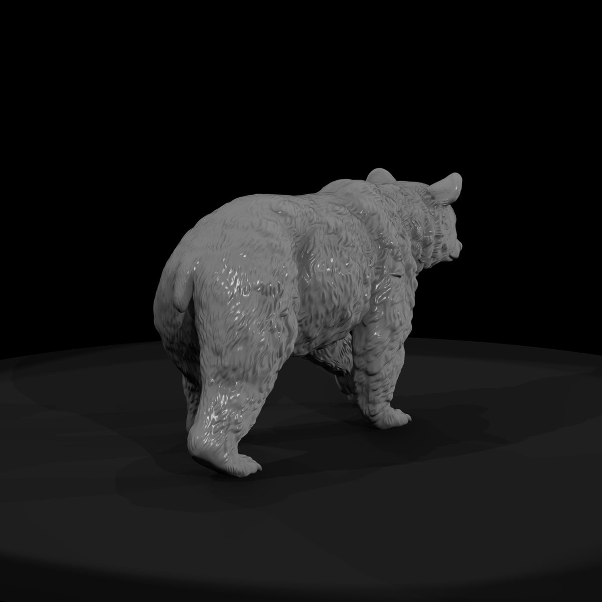 ant-212-american-black-bear-female