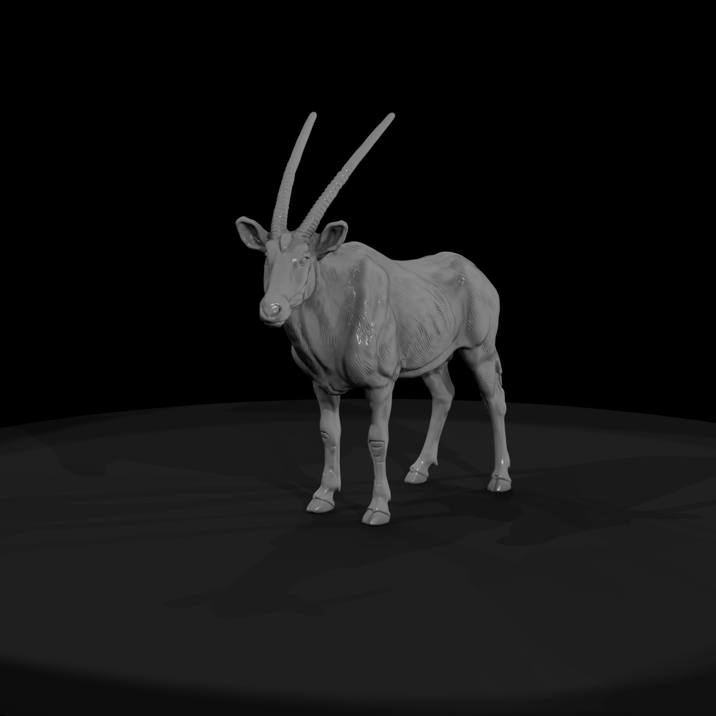 Ant 229 Gemsbok Male