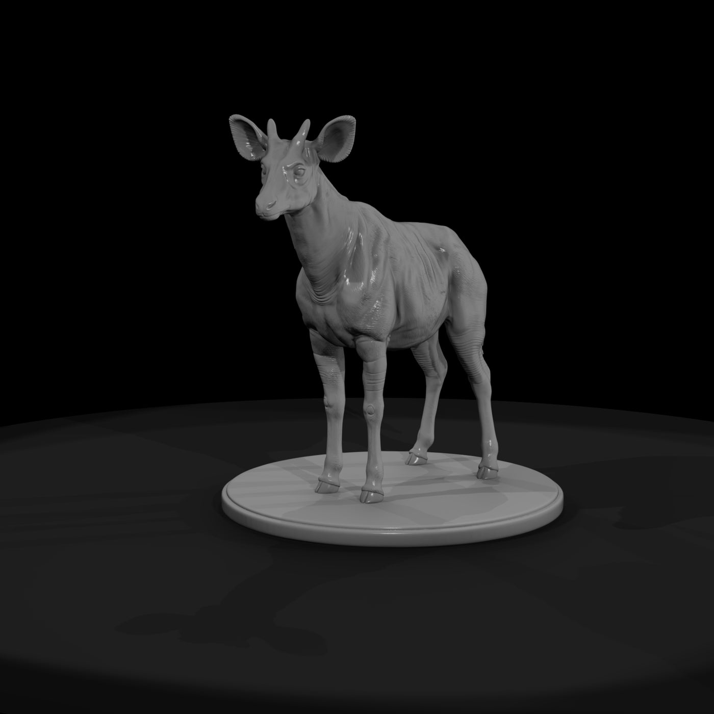 ant-250-okapi-male