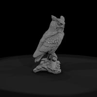 ant-118-great-horned-owl-male — thumbnail 2