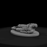 Collapsed Elderly Man — thumbnail 3