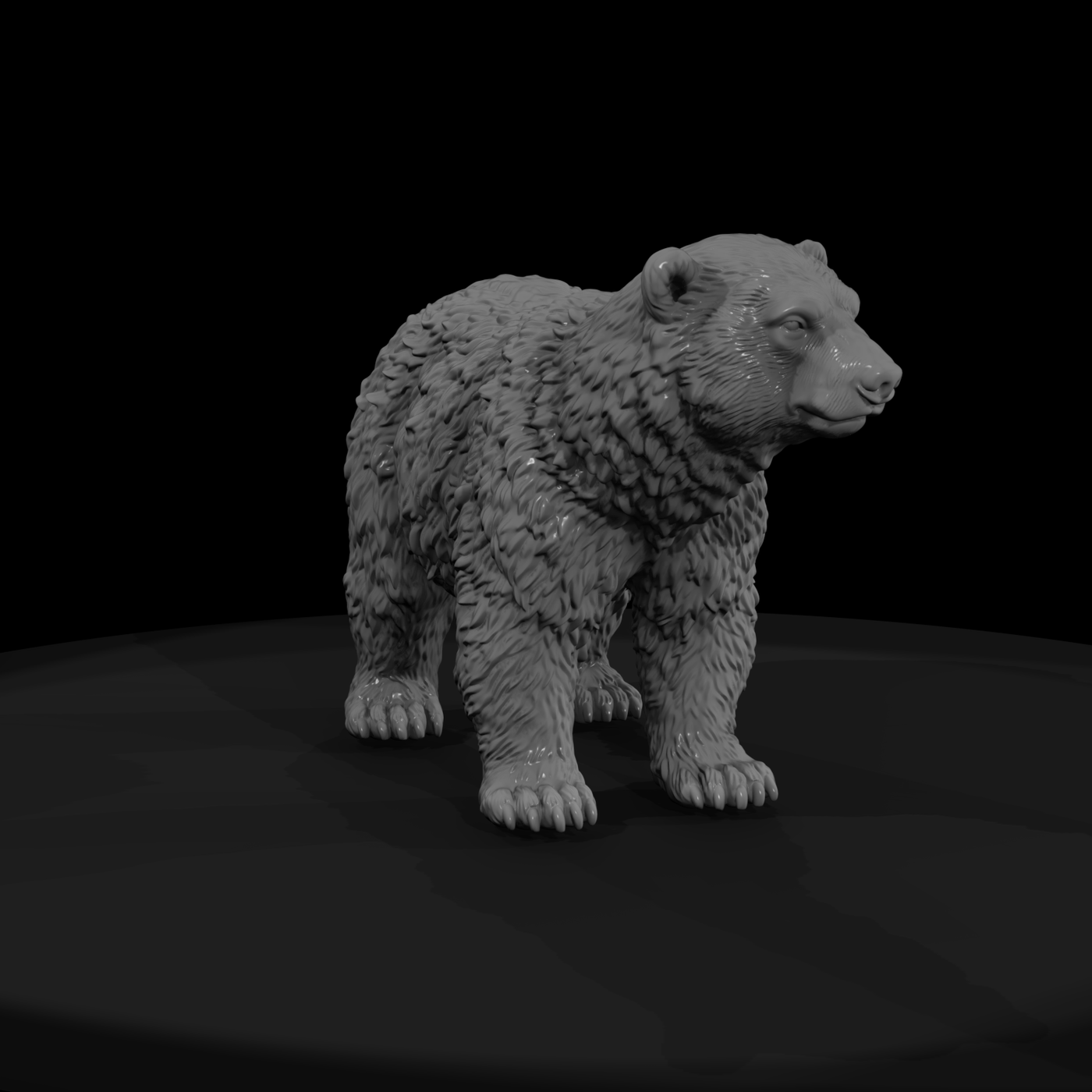 Young Polar Bear Standing