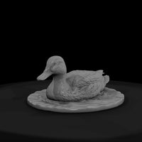 ant-089-mallard-female — thumbnail 2