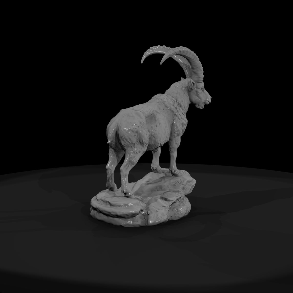 ant-277-alpine-ibex-male